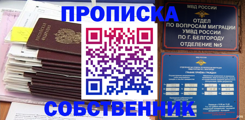 прописка законно в Завитинске